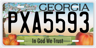 GA license plate PXA5593