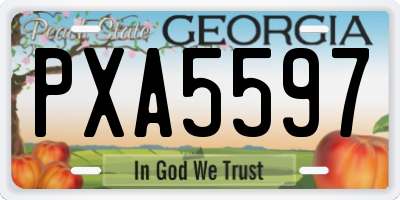 GA license plate PXA5597