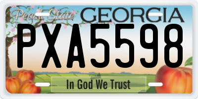 GA license plate PXA5598