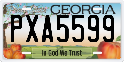 GA license plate PXA5599