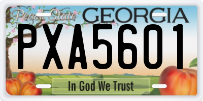 GA license plate PXA5601
