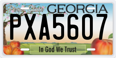 GA license plate PXA5607