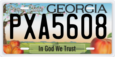 GA license plate PXA5608
