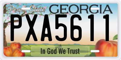 GA license plate PXA5611