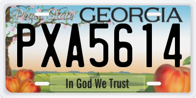 GA license plate PXA5614