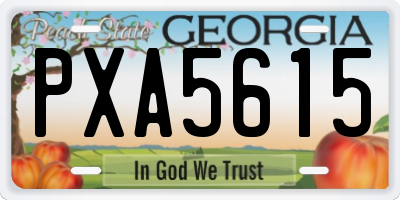 GA license plate PXA5615