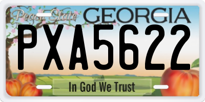 GA license plate PXA5622
