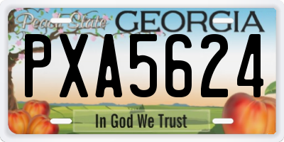 GA license plate PXA5624