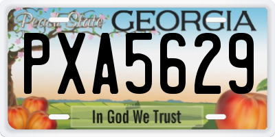 GA license plate PXA5629