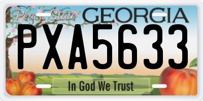 GA license plate PXA5633