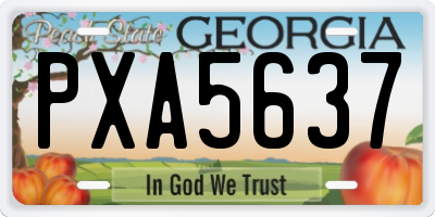 GA license plate PXA5637