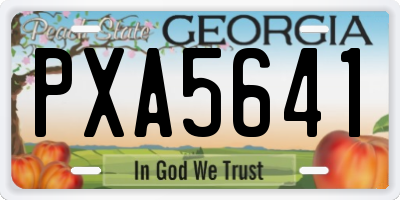 GA license plate PXA5641