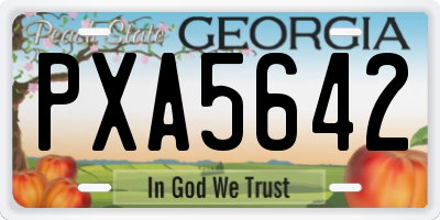 GA license plate PXA5642