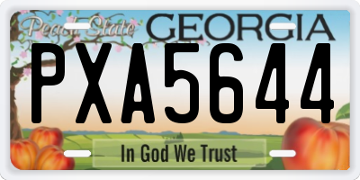 GA license plate PXA5644