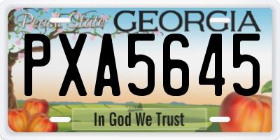 GA license plate PXA5645