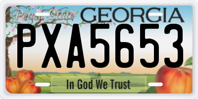 GA license plate PXA5653