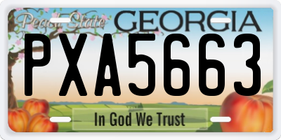 GA license plate PXA5663