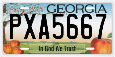 GA license plate PXA5667