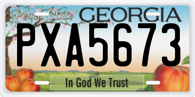 GA license plate PXA5673
