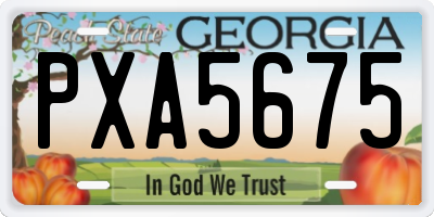 GA license plate PXA5675