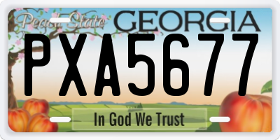 GA license plate PXA5677