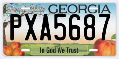 GA license plate PXA5687