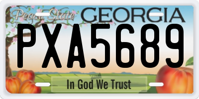 GA license plate PXA5689