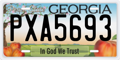 GA license plate PXA5693