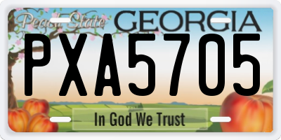 GA license plate PXA5705