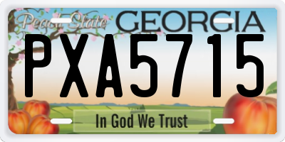 GA license plate PXA5715