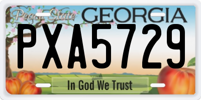 GA license plate PXA5729