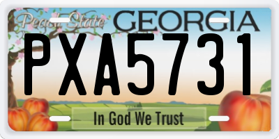 GA license plate PXA5731