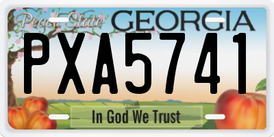 GA license plate PXA5741