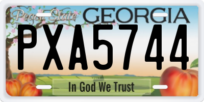 GA license plate PXA5744