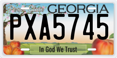 GA license plate PXA5745
