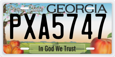 GA license plate PXA5747