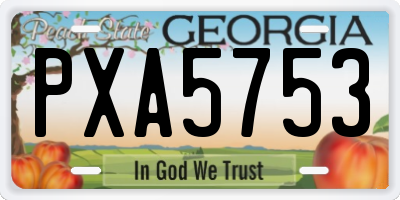 GA license plate PXA5753