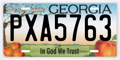 GA license plate PXA5763