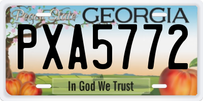 GA license plate PXA5772