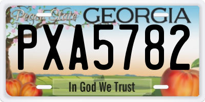 GA license plate PXA5782