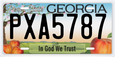 GA license plate PXA5787