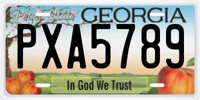 GA license plate PXA5789