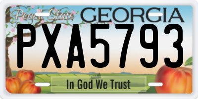 GA license plate PXA5793