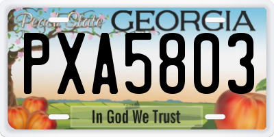 GA license plate PXA5803