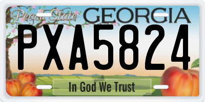 GA license plate PXA5824