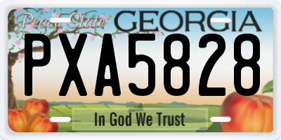 GA license plate PXA5828