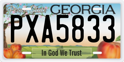GA license plate PXA5833