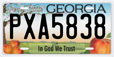 GA license plate PXA5838