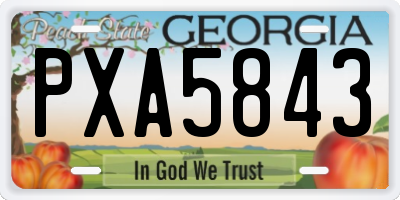 GA license plate PXA5843