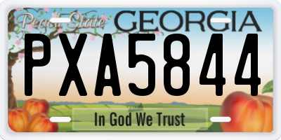 GA license plate PXA5844